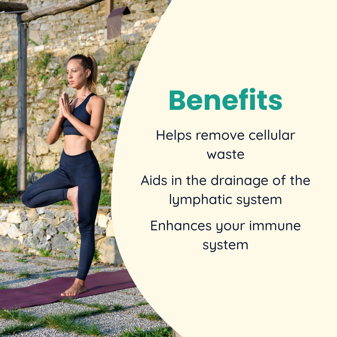 Lymphatic Drainage Supplement - Promotes The Efficient Drainage of The Lymphatic System to Promote Overall Health